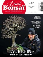 Esprit Bonsai